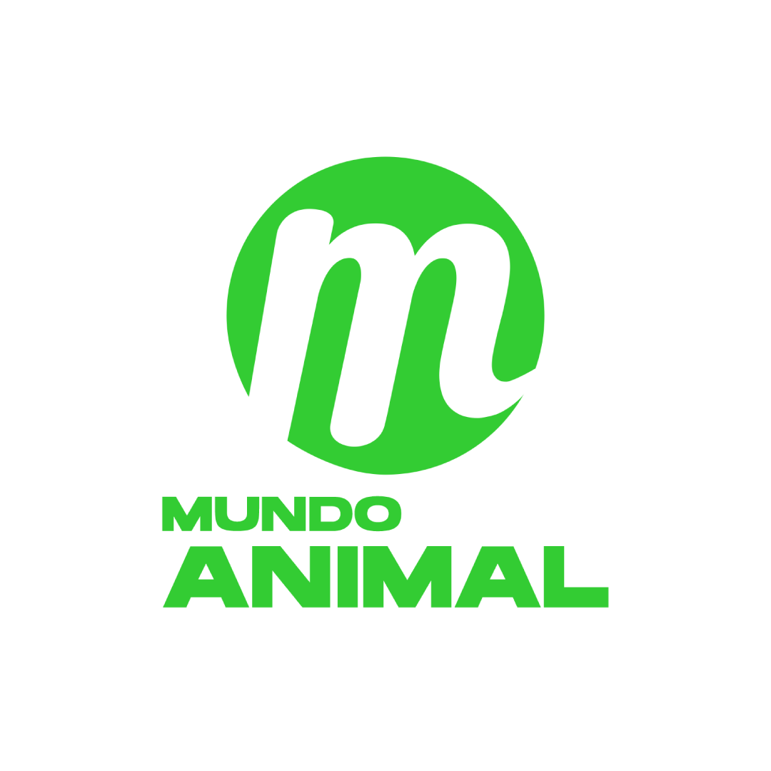Mundo Animal
