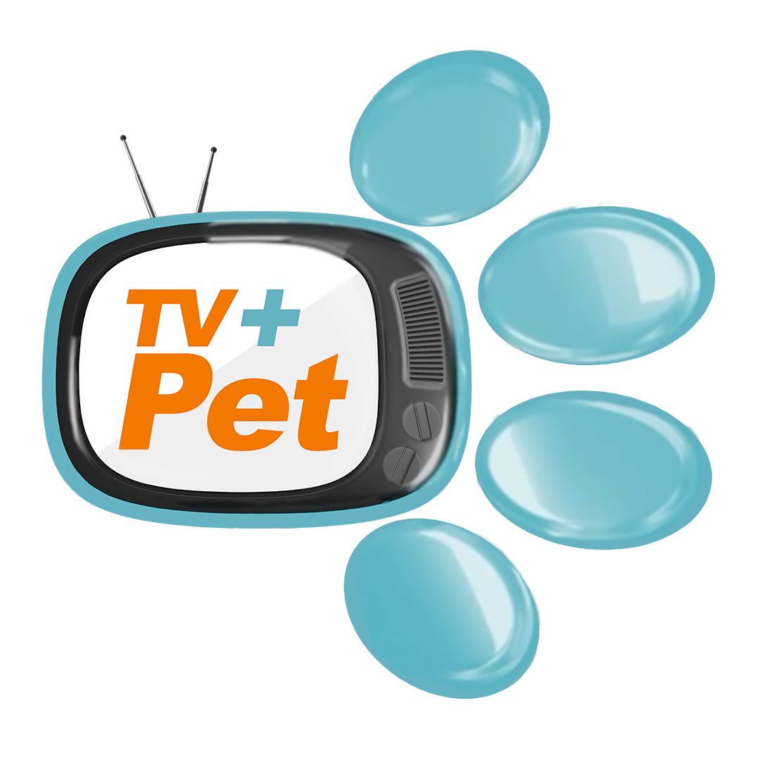 tv+pet